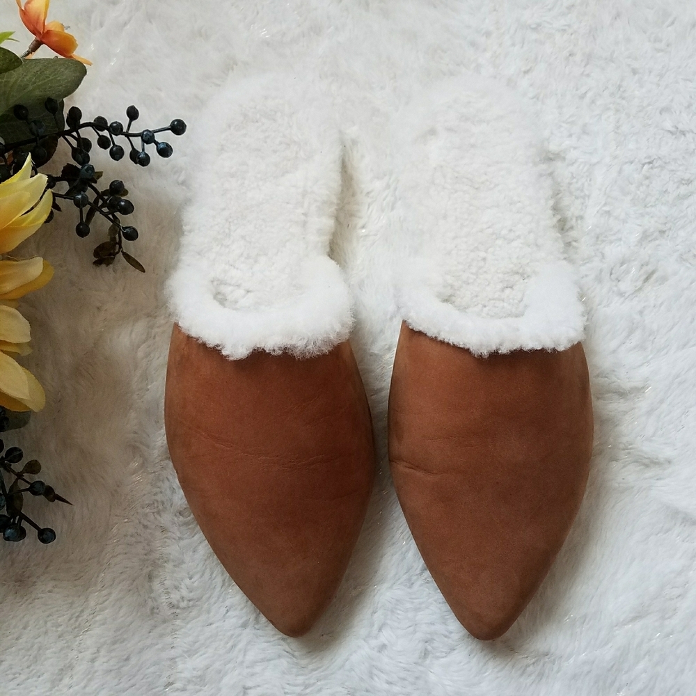 Jenni Kayne Shearling Lined Pointed Toe Mule in Walnut
